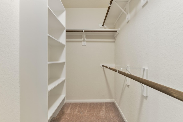 spacious closet with carpet flooring