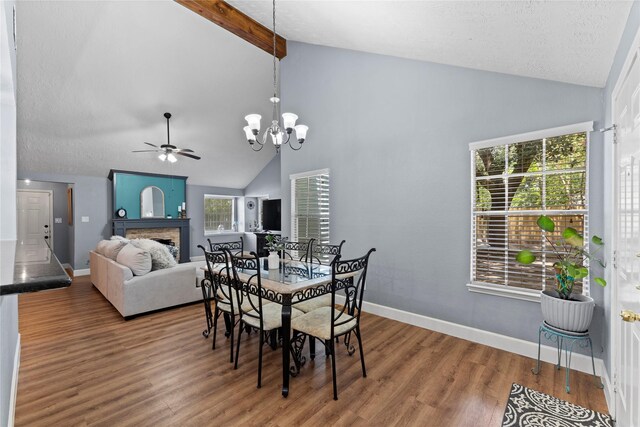 dining space featuring beam ceiling, a wealth of natural light, ceiling fan with notable chandelier, and hardwood / wood-style flooring