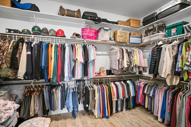 spacious closet featuring light wood-type flooring