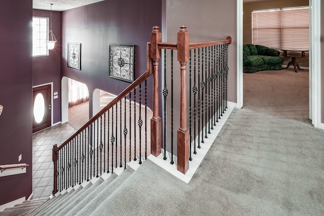 staircase with carpet floors