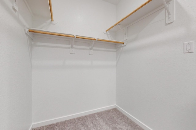 spacious closet with carpet flooring