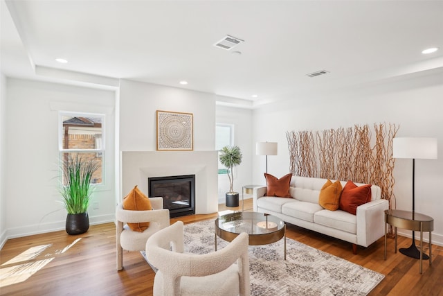 living room with wood-type flooring