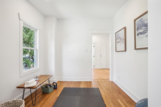 workout room with hardwood / wood-style flooring