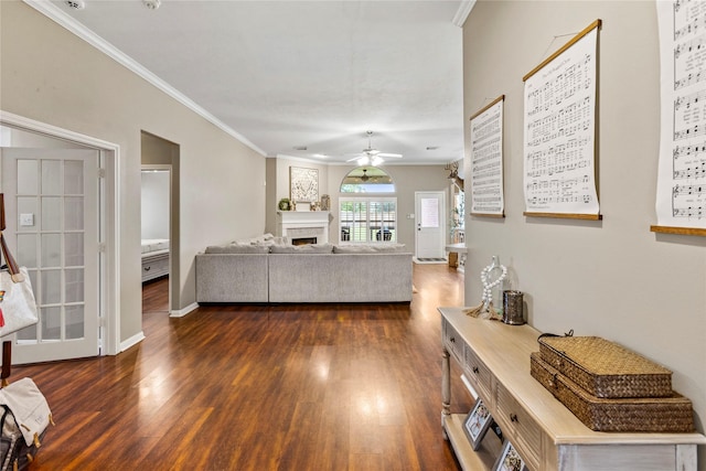 living room featuring ceiling fan, ornamental molding, and dark wood-type flooring