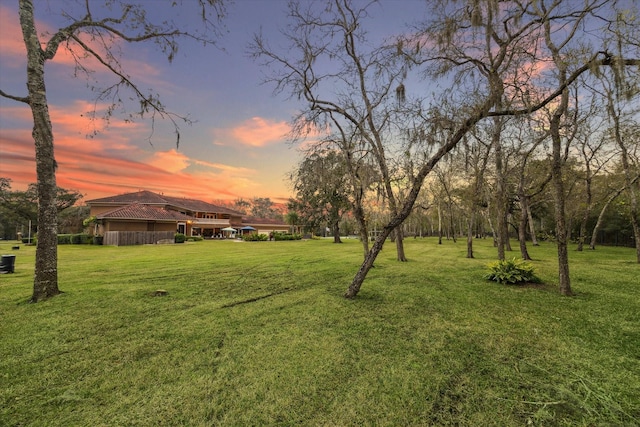 view of yard at dusk