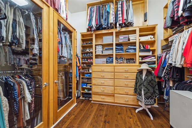 spacious closet featuring dark wood-type flooring