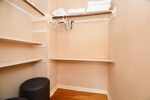 spacious closet featuring wood-type flooring