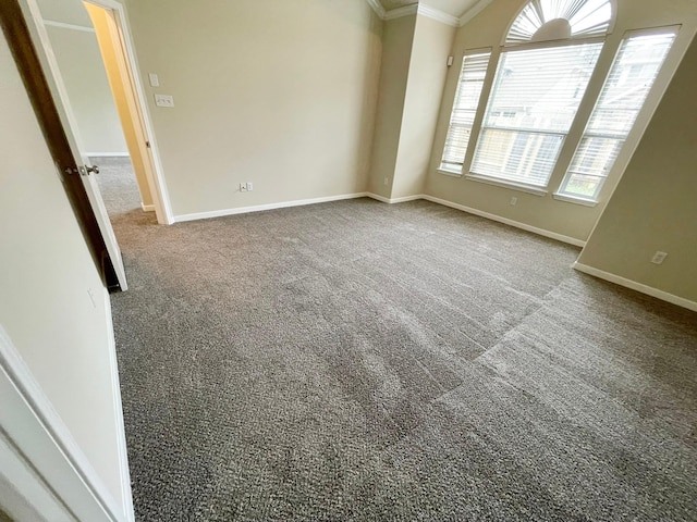 carpeted empty room featuring crown molding