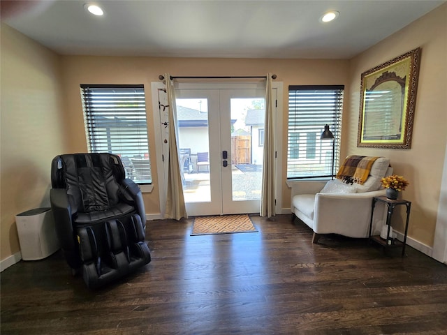 entryway featuring dark wood-style floors, french doors, and a wealth of natural light