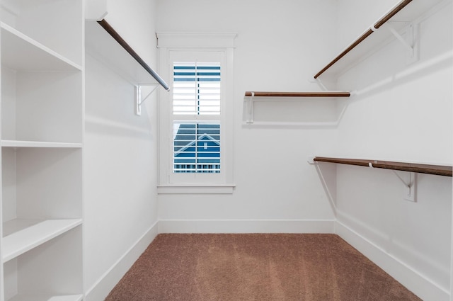 spacious closet featuring carpet