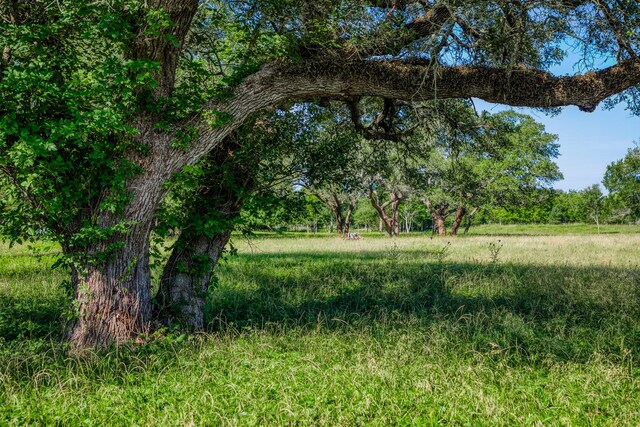 330 N Nassau Rd, Round Top, TX 78954