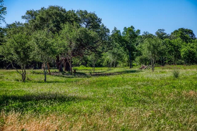 330 N Nassau Rd, Round Top, TX 78954