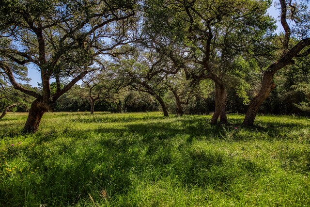 330 N Nassau Rd, Round Top, TX 78954