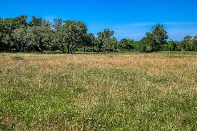 330 N Nassau Rd, Round Top, TX 78954