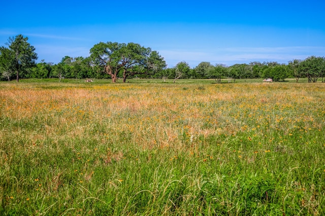330 N Nassau Rd, Round Top, TX 78954