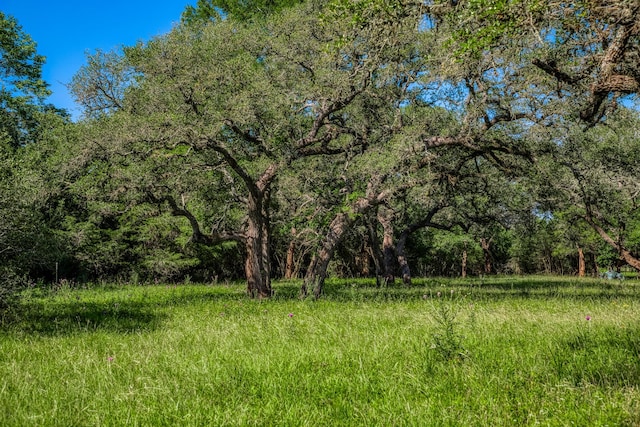 330 N Nassau Rd, Round Top, TX 78954