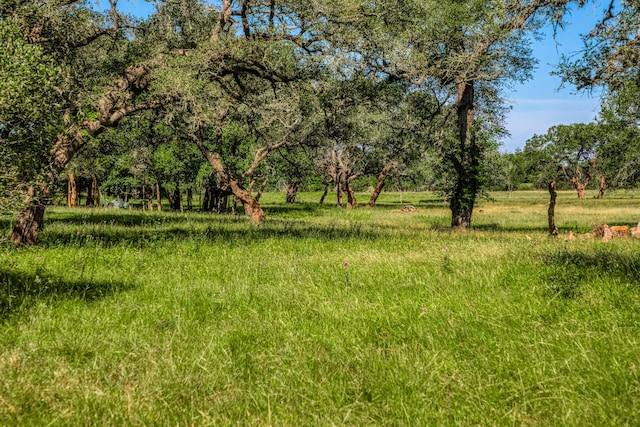 330 N Nassau Rd, Round Top, TX 78954