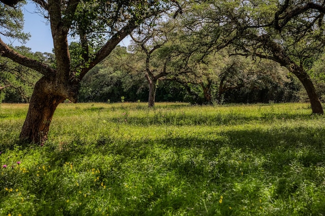 330 N Nassau Rd, Round Top, TX 78954