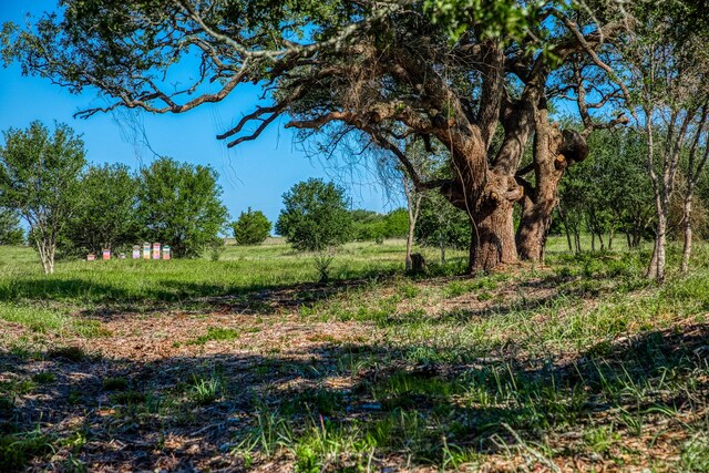 330 N Nassau Rd, Round Top, TX 78954