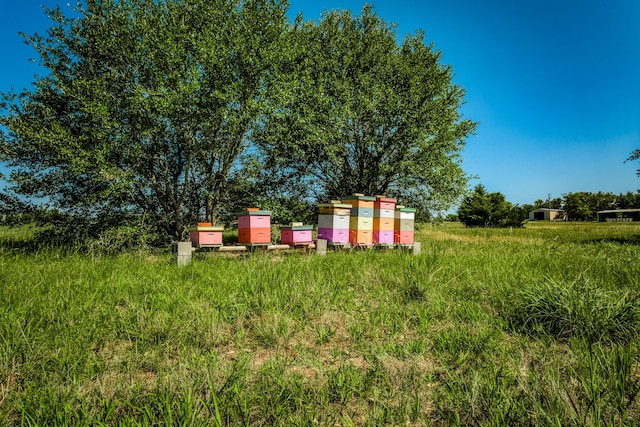 330 N Nassau Rd, Round Top, TX 78954