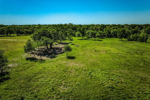 330 N Nassau Rd, Round Top, TX 78954