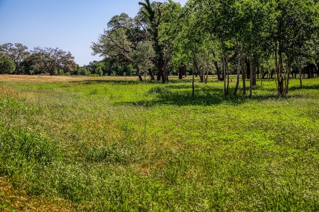 330 N Nassau Rd, Round Top, TX 78954