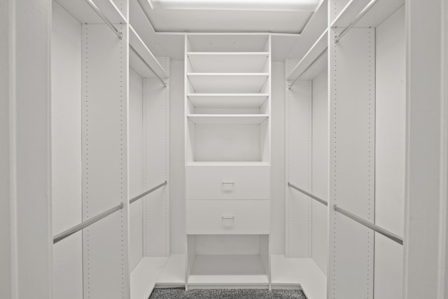 walk in closet with carpet floors