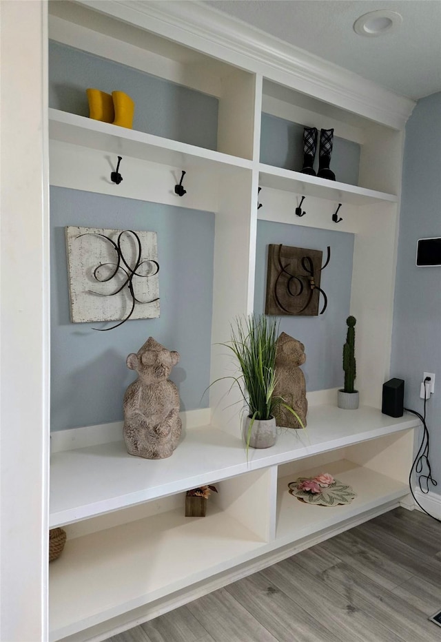 mudroom featuring hardwood / wood-style floors