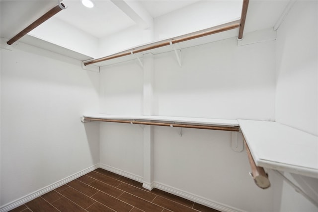 spacious closet featuring dark wood-type flooring