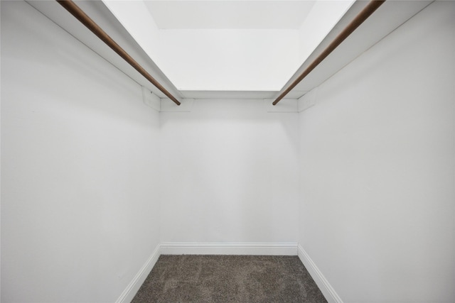 spacious closet with dark colored carpet