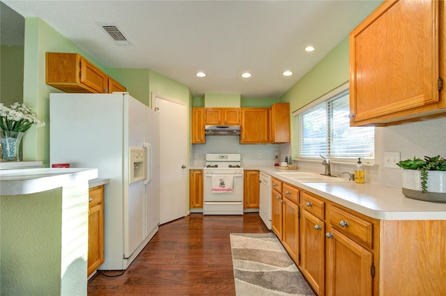 kitchen with dark hardwood / wood-style flooring, sink, and white appliances