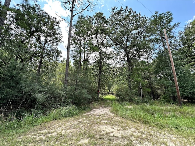 LOT152 Nottingham Cir, Hockley TX, 77447 land for sale