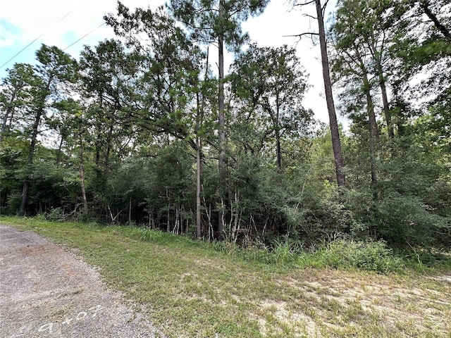 Listing photo 2 for LOT152 Nottingham Cir, Hockley TX 77447