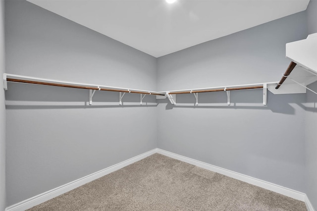 spacious closet with carpet