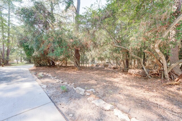 11630 Twain Dr, Montgomery, TX 77356