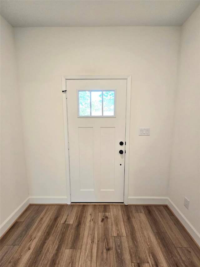 entrance foyer featuring dark wood-type flooring