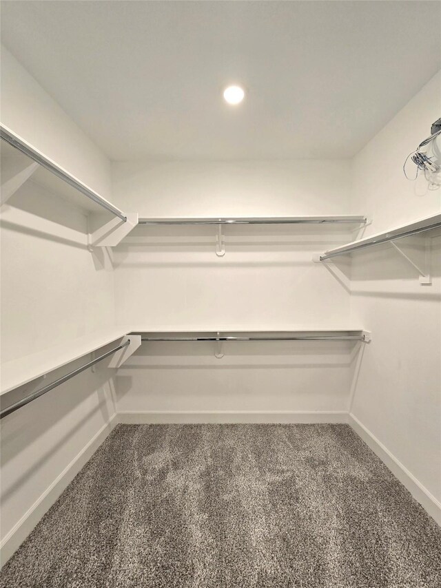 walk in closet with dark carpet