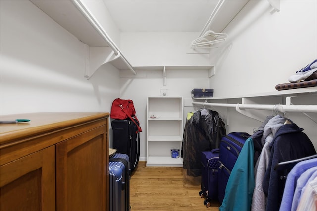 walk in closet with light wood-type flooring