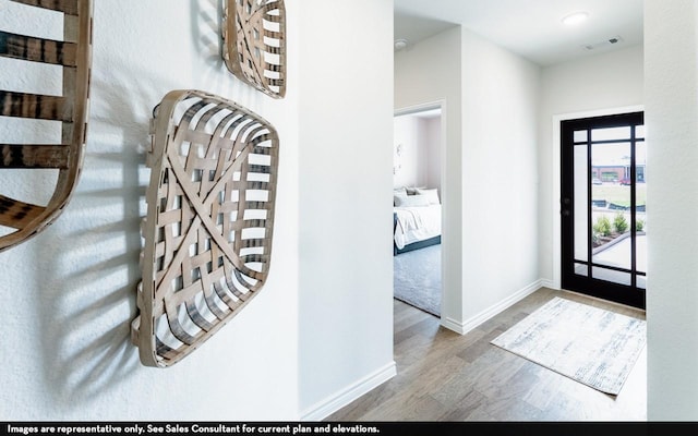 foyer entrance featuring wood-type flooring