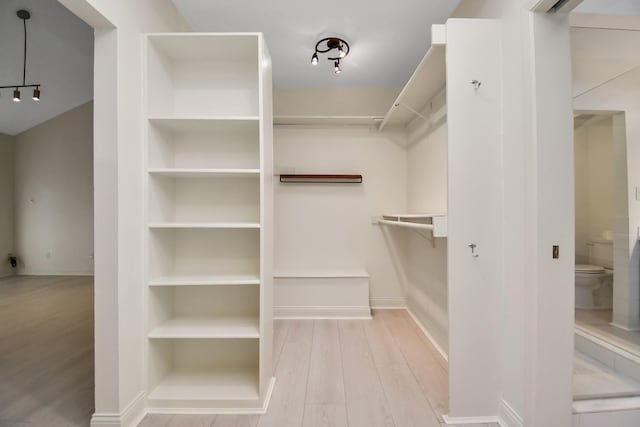 spacious closet featuring light hardwood / wood-style floors