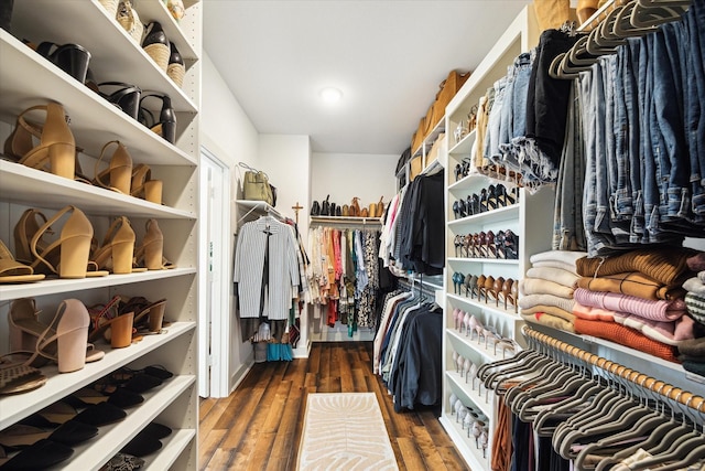 walk in closet featuring dark hardwood / wood-style flooring