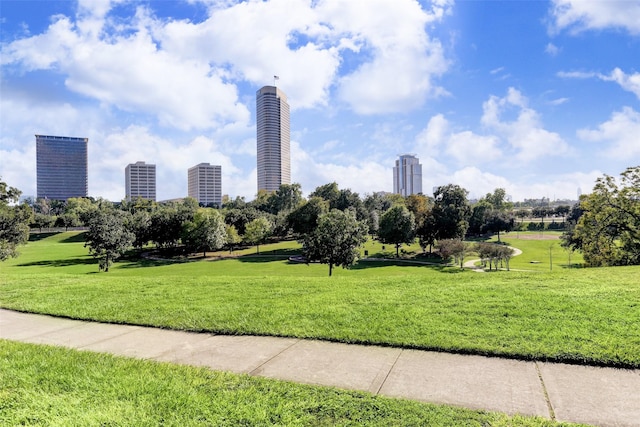 view of property's community with a yard