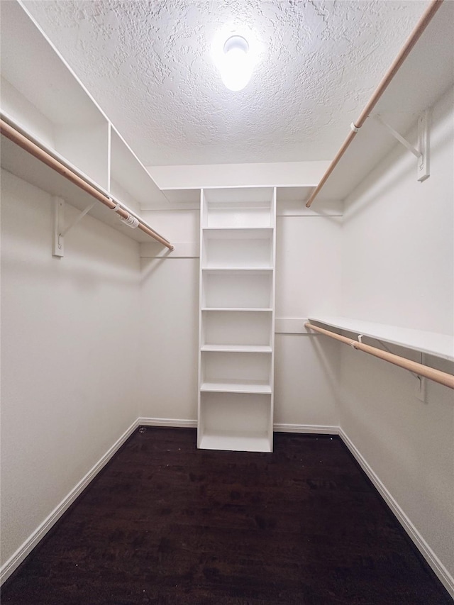 spacious closet with dark hardwood / wood-style flooring