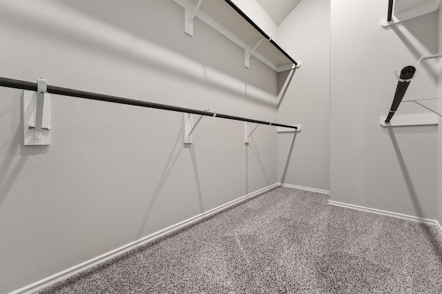 walk in closet with carpet floors