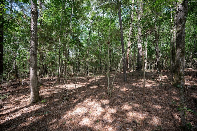 Listing photo 2 for tbd US Highway 190 E, Woodville TX 75979