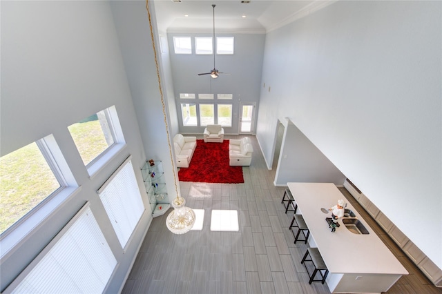 foyer featuring hardwood / wood-style flooring, plenty of natural light, ceiling fan, and a towering ceiling