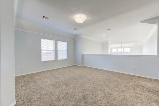 spare room with crown molding and carpet