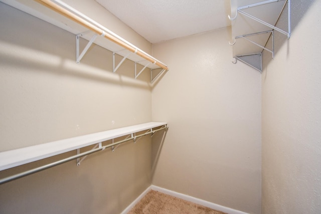 walk in closet with carpet floors