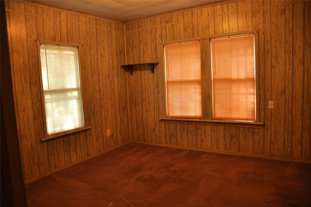 empty room featuring carpet, wood walls, a healthy amount of sunlight, and wooden ceiling