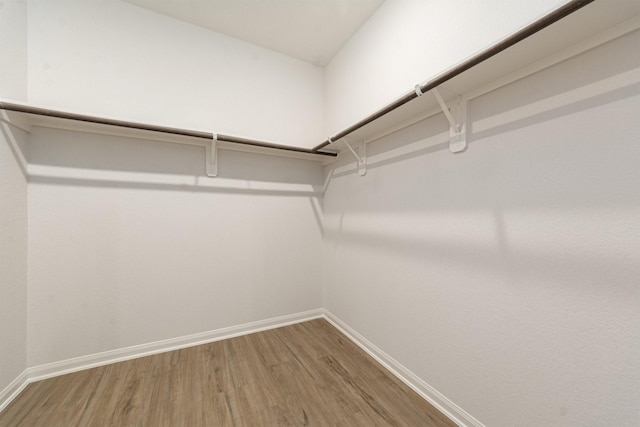 walk in closet featuring hardwood / wood-style flooring